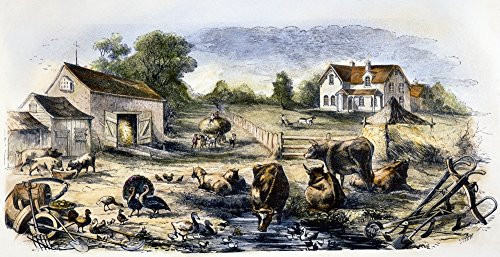 Farm Yard 1870 Namerican TypefounderS Cut C1870 Poster Print by 18 x 24 Farm Yard 1870 Namerican TypefounderS Cut C1870 Poster Print by 18 x 24