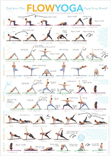 Flow Yoga Poses   Stretching Exercise Poster  Instructional Poster for Yoga Workout  a Flow Chart of Yoga Postures  Transitions   Sequences  Easy to Follow