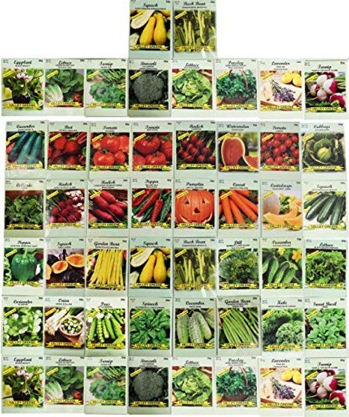 50 Packs Assorted Heirloom Vegetable Seeds 20  Varieties All Seeds are Heirloom  100 Non GMO