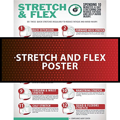 Stretch   Flex Poster Exercise for Workplace Guide Employees Employers  2