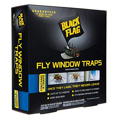 Black Flag HG 11017 Fly Window Trap  Ready to Use  4 Count  12