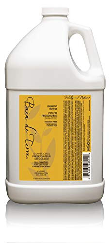 Bain De Terre Passion Flower Color Shampoo  128 Fluid Ounce