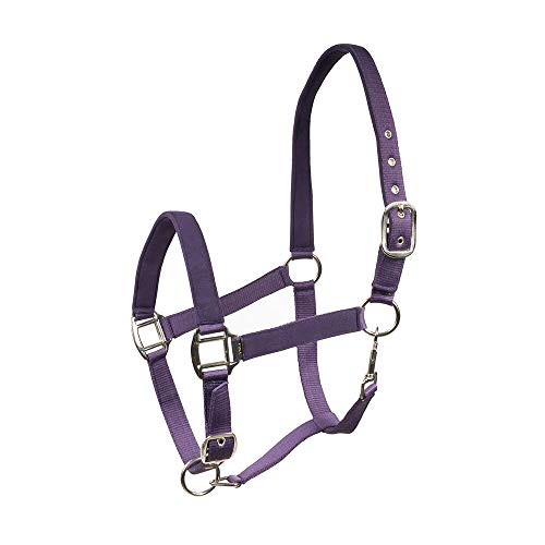 Horze Trapani Halter X Full Grape Juice Purple