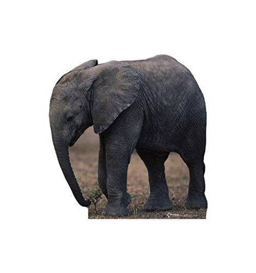 Advanced Graphics Elephant Life Size Cardboard Cutout Standup Advanced Graphics Elephant Life Size Cardboard Cutout Standup