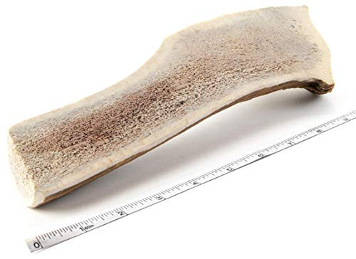 Devil Dog Pet Co Split Antler Dog Chew Premium Split Elk Antlers for Dogs Long Lasting for Non Aggressive Chewers No Mess No Odor Wild Shed Elk Horns Veteran Owned 1 Pack Jumbo Devil Dog Pet Co Split Antler Dog Chew Premium Split Elk Antlers for Dogs Long Lasting for Non Aggressive Chewers No Mess No Odor Wild Shed Elk Horns Veteran Owned 1 Pack Jumbo