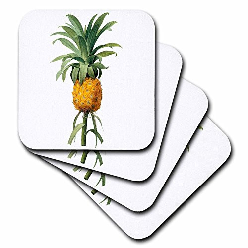 3dRose CST 106859 4 Redoute Vintage Watercolor Fruit Pineapple Bromelia Ananas Ceramic Tile Coasters Set of 8 3dRose CST 106859 4 Redoute Vintage Watercolor Fruit Pineapple Bromelia Ananas Ceramic Tile Coasters Set of 8