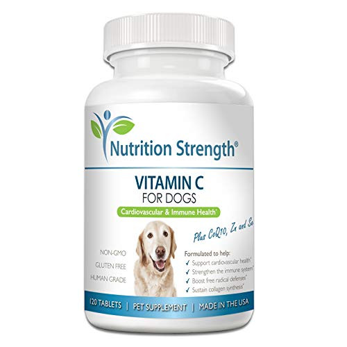 Nutrition Strength Vitamin C for Dogs to Support Cardiovascular Health Help Strengthen The Immune System Boost Free Radical Defenses and Sustain Collagen Synthesis 120 Chewable Tablets Nutrition Strength Vitamin C for Dogs to Support Cardiovascular Health Help Strengthen The Immune System Boost Free Radical Defenses and Sustain Collagen Synthesis 120 Chewable Tablets