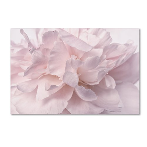 Trademark Fine Art Pink Peony Petals II by Cora Niele, 12x19-Inch Canvas Wall Art Trademark Fine Art Pink Peony Petals II by Cora Niele, 12x19-Inch Canvas Wall Art