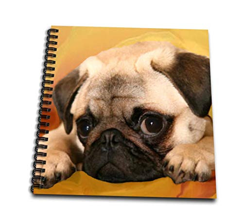 3dRose db_3644_1 Pug-Drawing Book, 8 by 8-Inch