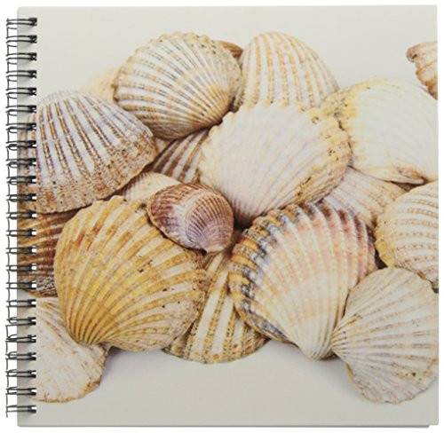 3dRose db_50550_1 Sea Shells by the Sea Shore Summer Beach Theme Drawing Book, 8 by 8"