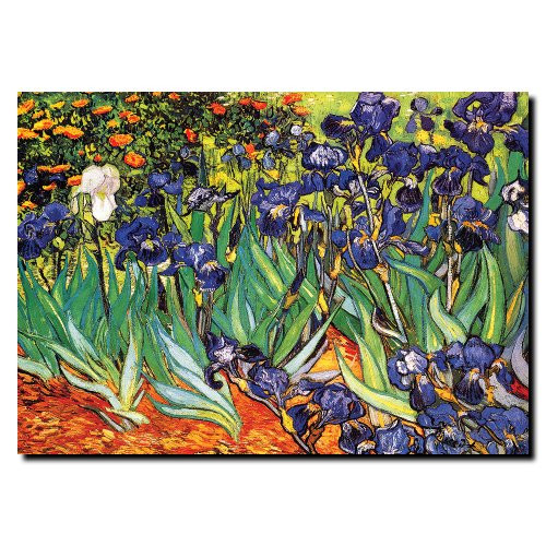 Trademark Fine Art Irises, Saint-Remy by Vincent van Gogh, 18x24-Inch Canvas Wall Art