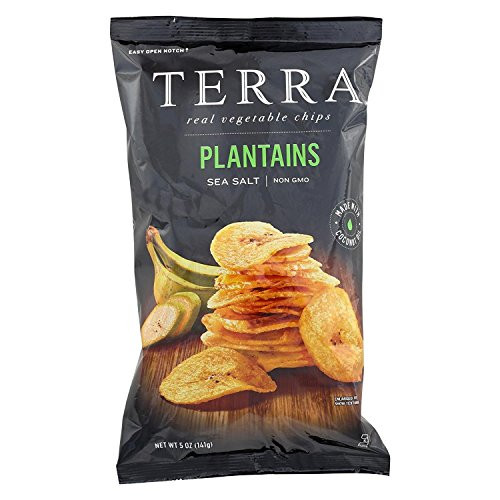 Terra Chips  Plantain Sea Salt Chips 5 Oz   Pack of 12
