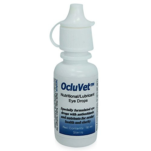 OcluVet Eye Drops for Pets   Scientifically Formulated  Patented  and Clinically Studied Antioxidants for Pets with Cataracts   Includes N acetylcarnosine  NAC    16mL