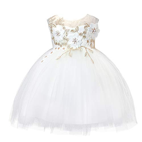 Baby Toddler Lace Dress Princess Wedding Gown Baby Flower Girl Elegant Embroidery Special Occasion Party Dress 9M Off White