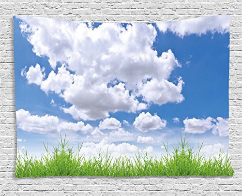 Ambesonne Landscape Tapestry, Calming Relaxing Beautiful Sunny Bright Scenery Clouds Garden Art Photo, Wall Hanging for Bedroom Living Room Dorm, 60WX40L inches, Blue White Green
