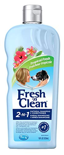 Fresh  n Clean 2-in-1 Oatmeal Conditioning Shampoo  Tropical Scent  18 oz-