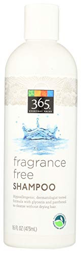 365 Everyday Value  Fragrance Free Shampoo  16 fl oz