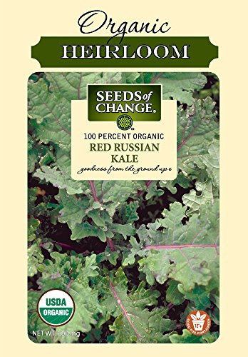 Seeds of Change Certified Organic Red Russian Kale