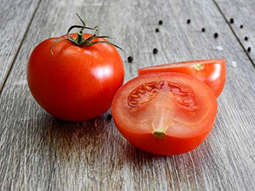 OldLadyRenee  100 Tomato  Ace 55 Seeds