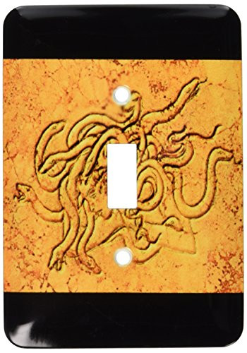 3dRose LLC lsp171171 Medusa Carved In Stone Single Toggle Switch
