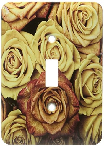 3dRose LLC lsp1511461 Rust and Gold Roses Close-Up Single Toggle Switch