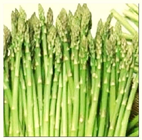 50 Mary Washington Asparagus Seeds   Non-GMO   Fresh Garden Seeds