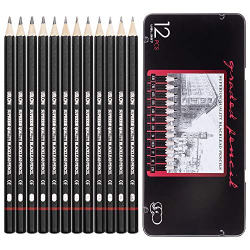 Professional Drawing Sketching Pencil Set - 12 Pieces Drawing Art Pencils 8B - 2H Graphite Shading Pencils for Beginners   Pro Artists