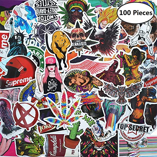 Random Sticker Pack  100 Pcs  Breezypals Variety Vinyl Car Sticker Motorcycle Bicycle Luggage Decal Graffiti Patches Skateboard Stickers for Laptop Stickers