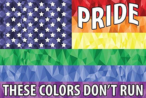 FESLLC Gay Pride Bumper Stickers These Colors Don t Run Rainbow Flag Decals 3 Pack