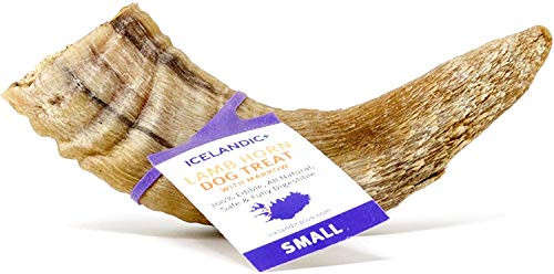 Icelandic   All-Natural Dog Chew Treats   Lamb Horn with Marrow  Small