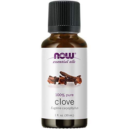 Now Essential Oils  Clove Oil  1 Fl Oz