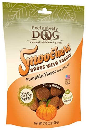 Exclusively Dog Pet Dog Smoochers Drops with Yogurt Treat  Pumpkin  All Breed Sizes