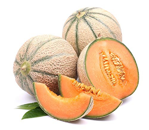 Jumbo Cantaloupe Hales Best 50 Premium Heirloom Seeds Isla s Garden Seeds Non GMO Highest Quality Seeds 100 Pure Jumbo Cantaloupe Hales Best 50 Premium Heirloom Seeds Isla s Garden Seeds Non GMO Highest Quality Seeds 100 Pure