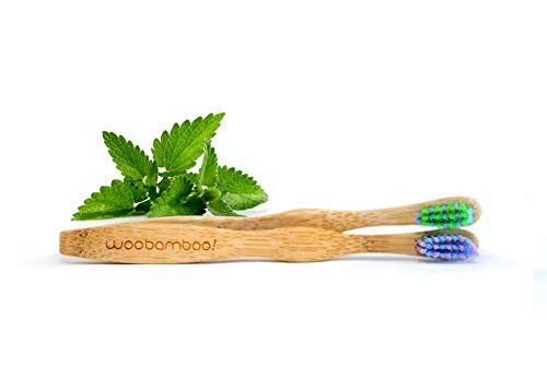Kid s Bamboo Toothbrush 2-Pack - Super Soft BPA Free Nylon Bristles - Eco-Friendly  Biodegradable  Compostable  Vegan by WooBamboo!