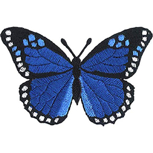 C D Visionary CDX Butterfly Blue Patch  Multi Color