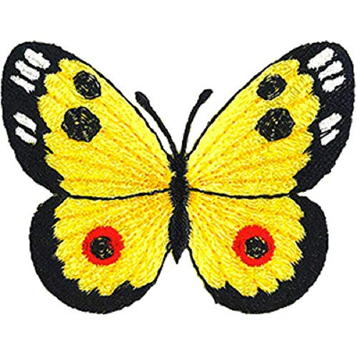 C D Visionary CDX Butterfly Yellow Patch  Multi Color