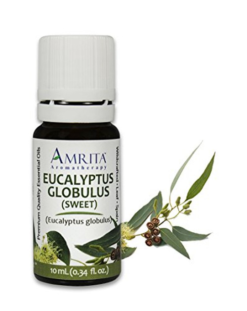 Amrita Aromatherapy Eucalyptus Globulus Sweet Essential Oil  100  Pure Undiluted Eucalyptus globulus  Therapeutic Grade  Premium Quality Aromatherapy oil  Tested   Verified  10ML