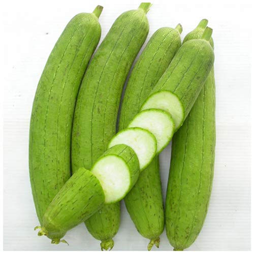 ALEXI Luffa Seeds - Loofah -MUOP Huong Seeds - Luffa Gourd Sponge Seeds for Planting - Non GMO - Thick Meat - Long - Scented Luffa - Luffa aegyptiaca - High Germination Rate - Delicious 30 ALEXI Luffa Seeds - Loofah -MUOP Huong Seeds - Luffa Gourd Sponge Seeds for Planting - Non GMO - Thick Meat - Long - Scented Luffa - Luffa aegyptiaca - High Germination Rate - Delicious 30