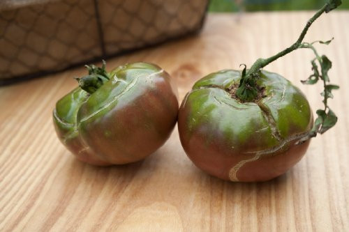 Black Master Heirloom Tomato Premium Seed Packet  More