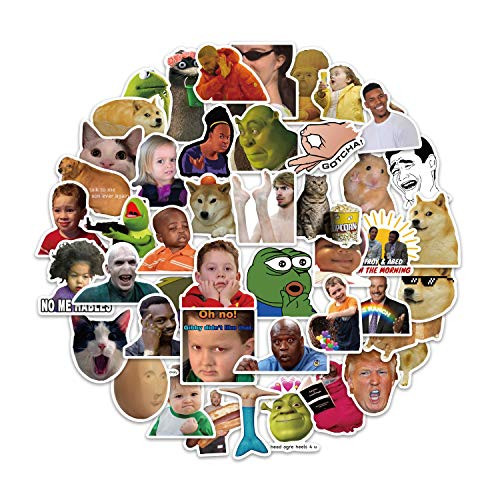 50 Pcs Trendy Celebrity Sticker Cute Vsco Stickers for Water Bottle  Laptop Funny Stickers Pack for Teens and Girls