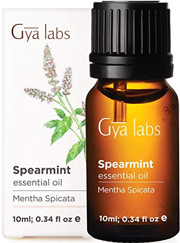 Gya Labs Spearmint Essential Oil - For Easy Breathing  Sore Free Body   Perfect Smiles 10ml - 100  Pure Natural Therapeutic Grade Spearmint Oil Essential Oils for Aromatherapy Diffuser   Topical Use