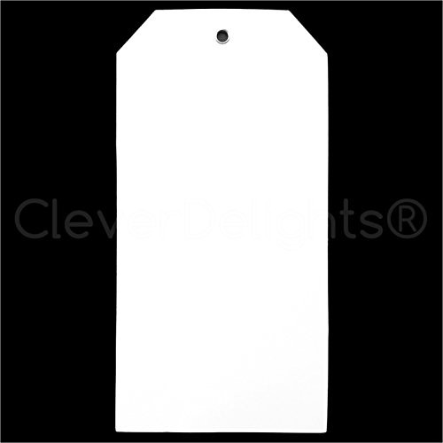 100 Pack - CleverDelights Large White Plastic Tags - 6.25" x 3.125" - Tear-Proof and Waterproof - Inventory Asset Identification Price Tags