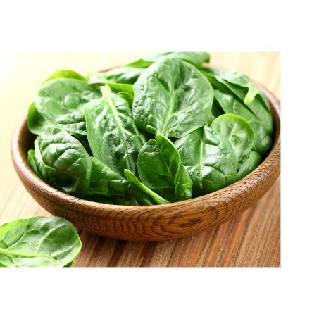 David s Garden Seeds Spinach Bloomsdale Long Standing 6711 Green 200 Non-GMO  Heirloom Seeds