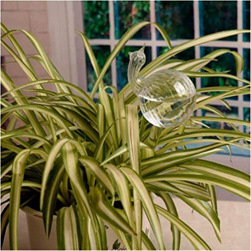 AMILIEe Self-Watering Stakes  Plant Waterer Self Watering Globes  Hand Blown Clear Glass Plant Water Bulbs for Indoor  Outdoor  Hanging or Patio Plants Snail  1