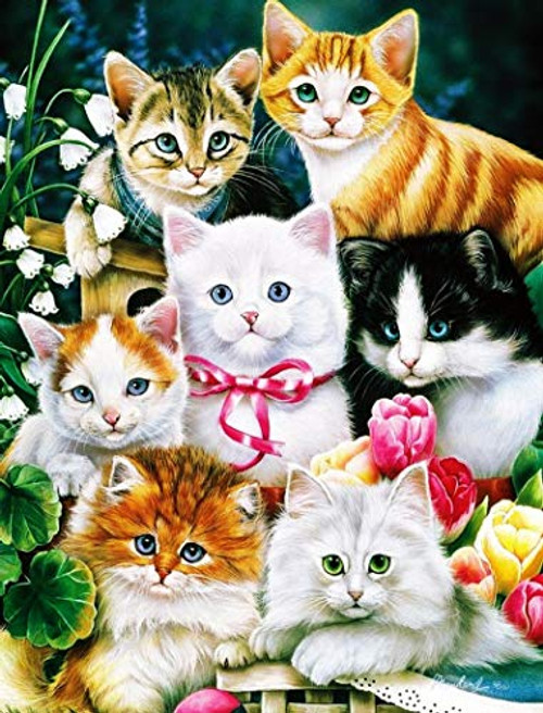 DIY 5D Diamond Painting Kits for Adults Full Drill Embroidery Paintings Rhinestone Pasted DIY Painting Cross Stitch Arts Crafts for Home Wall Decor Cats12x16inch DIY 5D Diamond Painting Kits for Adults Full Drill Embroidery Paintings Rhinestone Pasted DIY Painting Cross Stitch Arts Crafts for Home Wall Decor Cats12x16inch