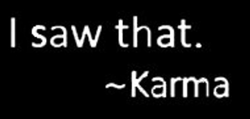 LLI I Saw That Karma Decal Vinyl Sticker Cars Trucks Vans Walls Laptop White 5-5 x 2-1 in LLI902 LLI I Saw That Karma Decal Vinyl Sticker Cars Trucks Vans Walls Laptop White 5-5 x 2-1 in LLI902