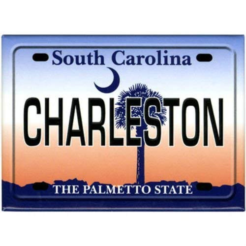 Charleston South Carolina License Plate Fridge Collector s Souvenir Magnet 2-5  X 3-5