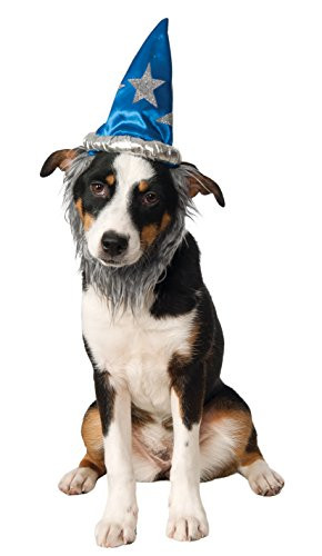Rubie s Wizard Hat with Beard for Pets  Small-Medium