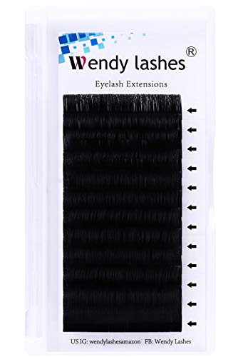 21mm Lash Extensions D Curl Silk Lashes Extensions 0-15mm Eyelash Extensions Semi Permanent Individual Eyelashes by WENDY LASHES 0-15-D  21mm