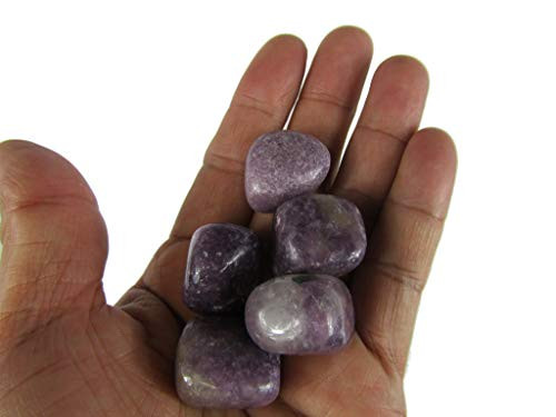 CircuitOffice 5 Piece Lepidolite Tumbled Stone 0-75  - 1  - Healing Stones  Metaphysical Healing  Chakra Stones for Wicca  Reiki  Healing  Metaphysical  Chakra  Positive Energy or Gift